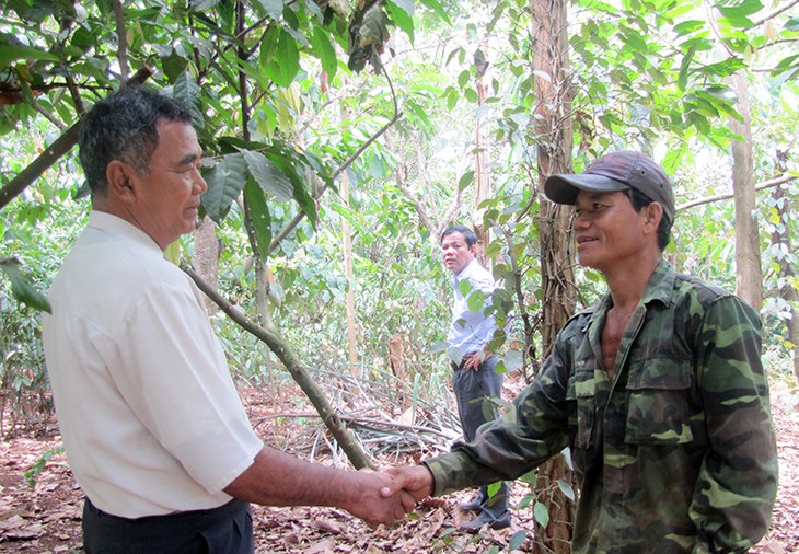 Binh Phuoc makes wild vegetables a specialty - ảnh 1